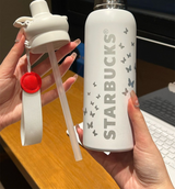 500ml Dual-Sip Insulated Bottle for Hot & Cold Drinks