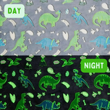 Glow in The Dark Dinosaur Blanket for Kids - Super Soft & Cozy Fleece, 100x150 cm, for Boys & Girls blanket_223