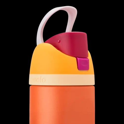 Owala Stainless Steel FreeSip 24 oz water bottle